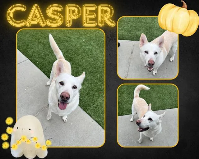 Casper