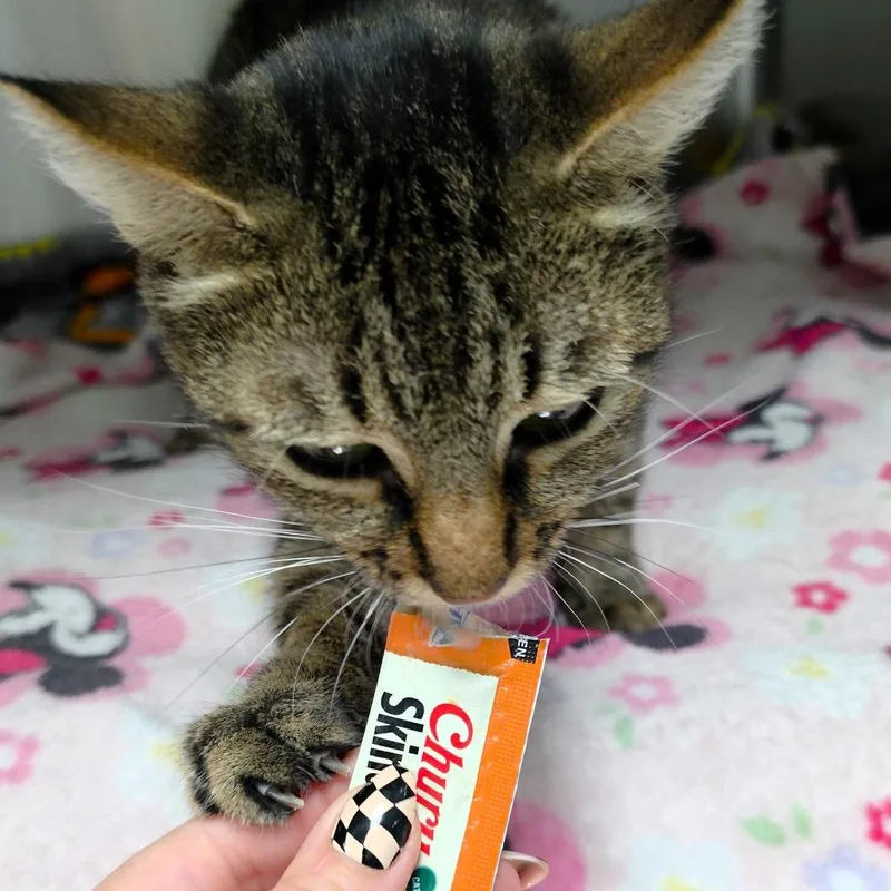 Purrsephone thumbnail 5