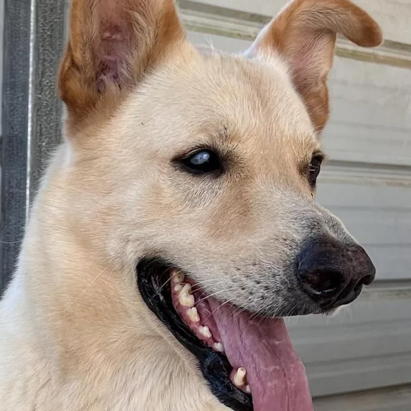 Big Bear thumbnail 2