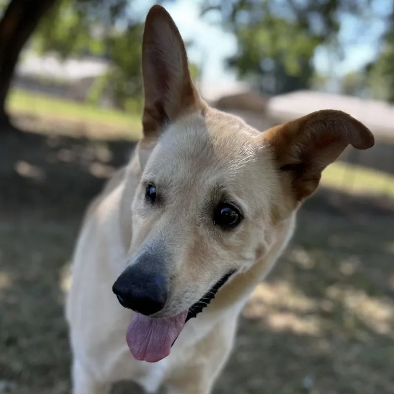 Big Bear thumbnail 3