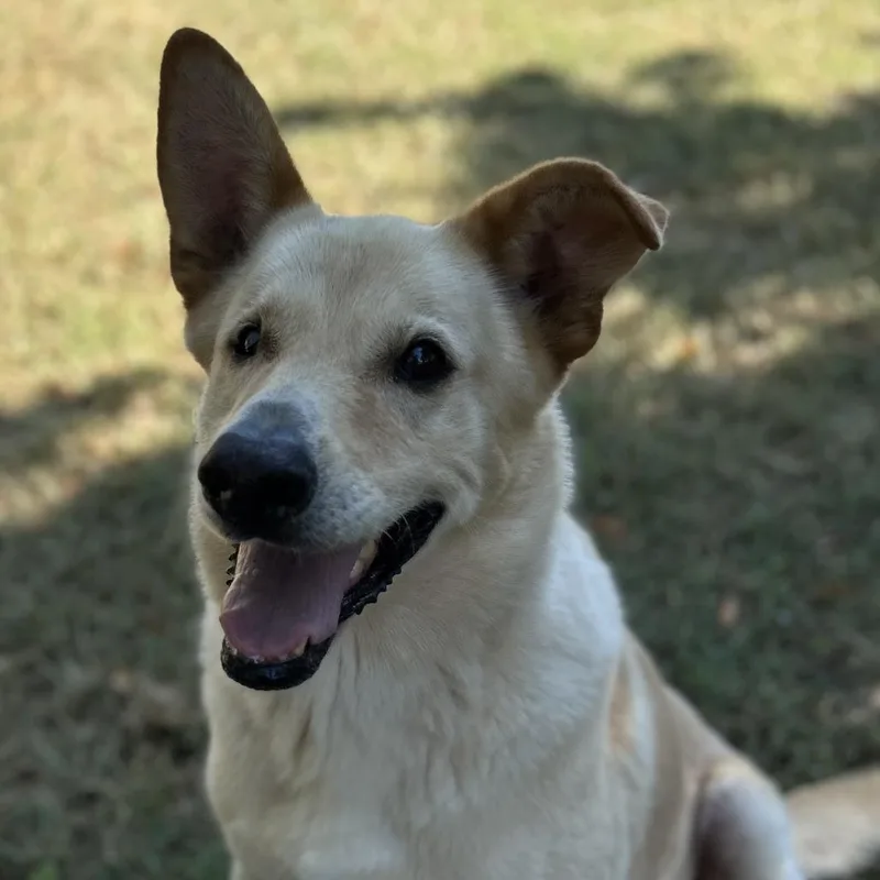 Big Bear thumbnail 4