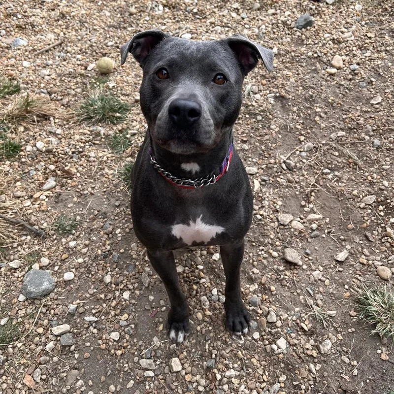 Sierra Mist thumbnail 3