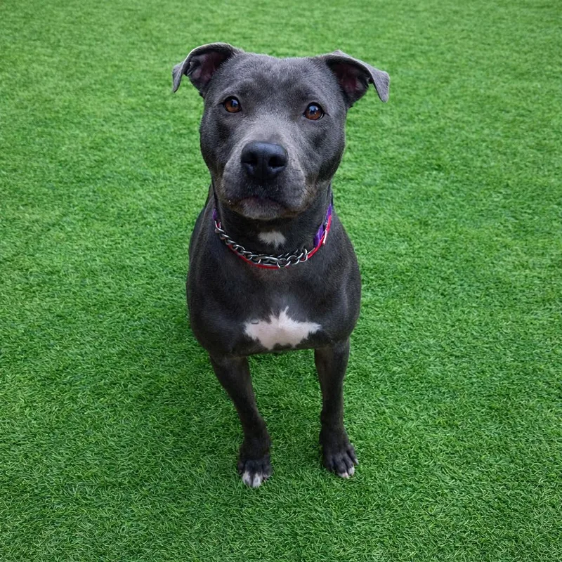 Sierra Mist thumbnail 4