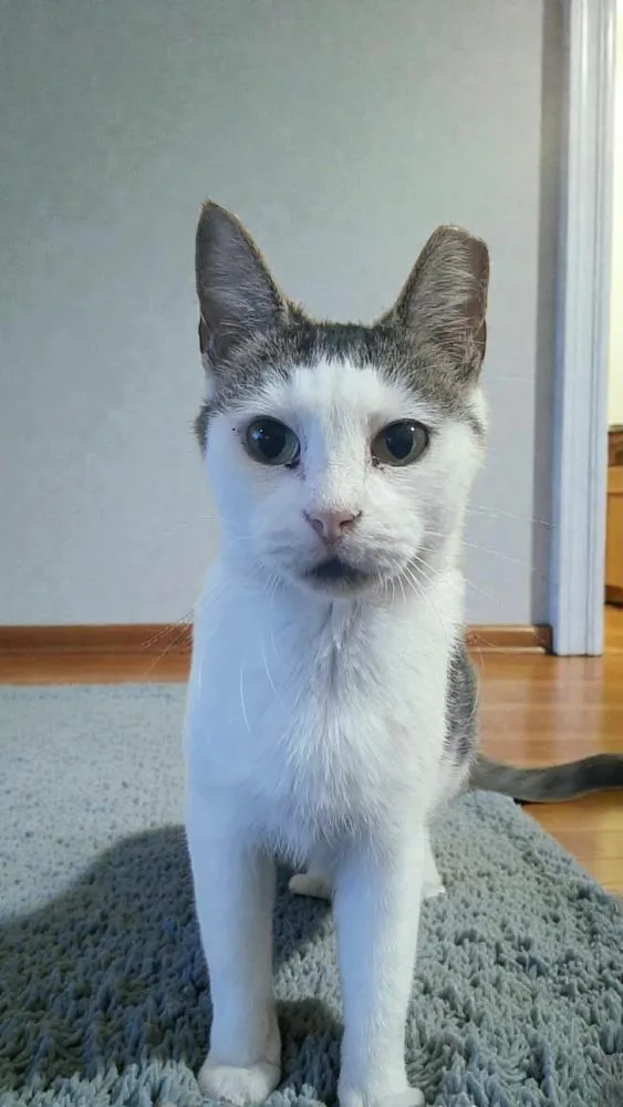 Brittany Spears thumbnail 2