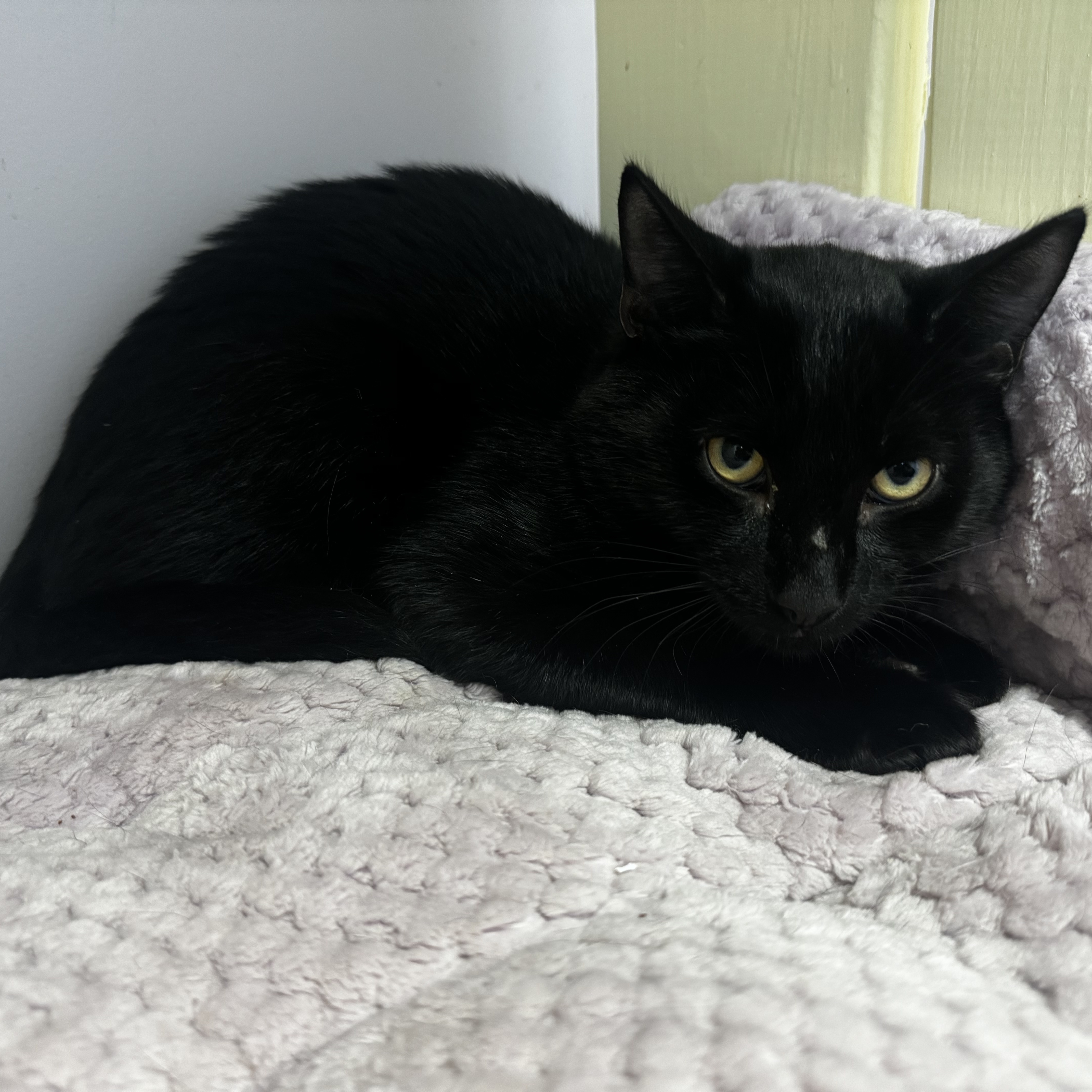 Peekaboo thumbnail 4