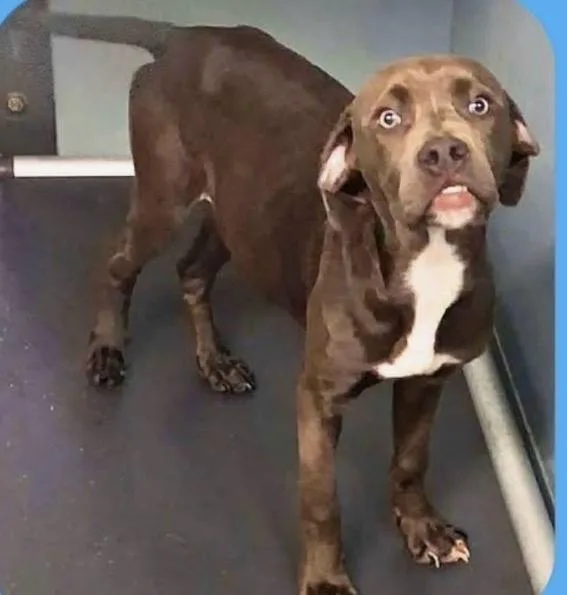 Guinness thumbnail 2