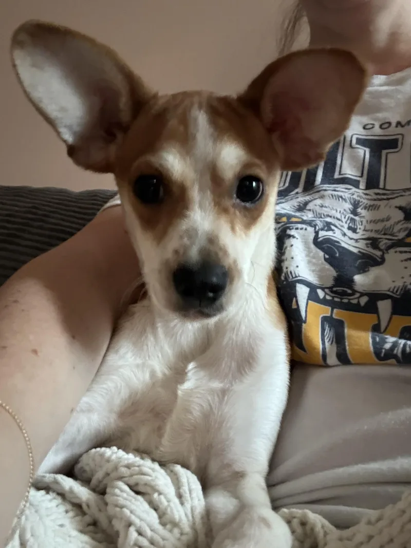 Pluto