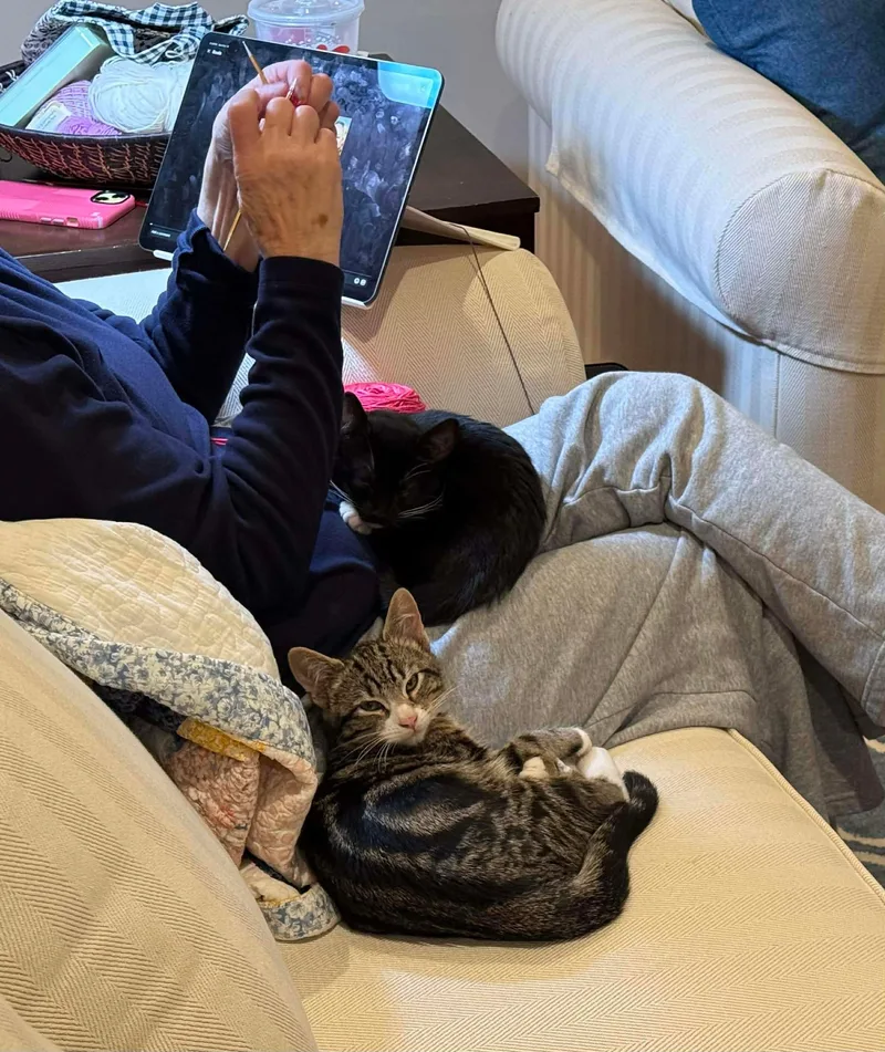 Gabby & Boots thumbnail 3