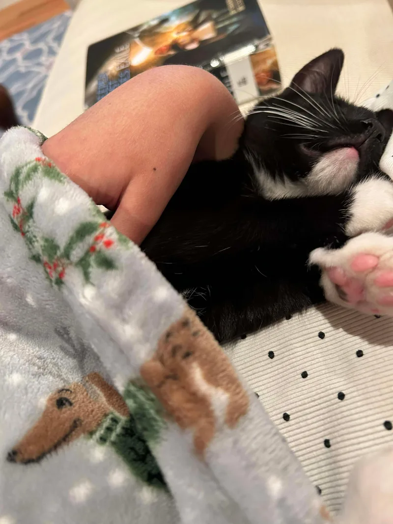 Gabby & Boots thumbnail 5