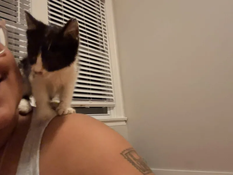OnlyBeans thumbnail 2