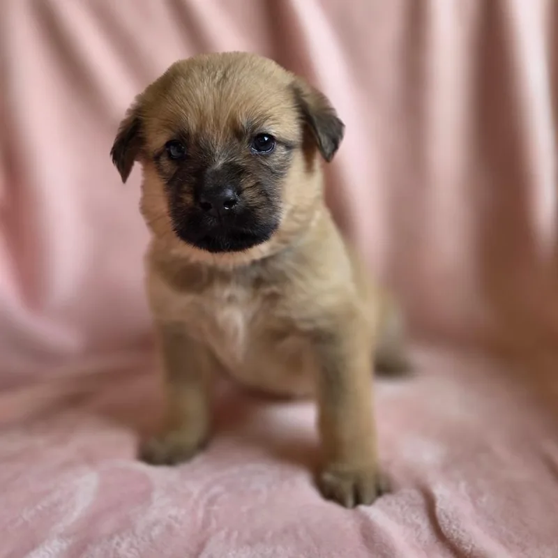 Eloise thumbnail 2
