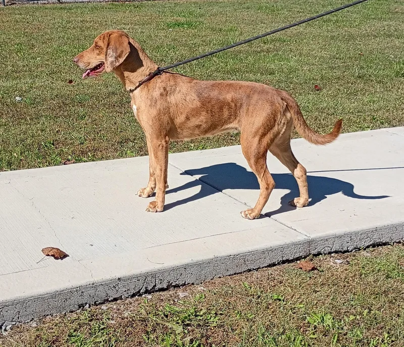 Rita thumbnail 2