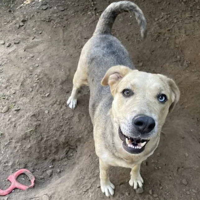 Gorgeous thumbnail 2