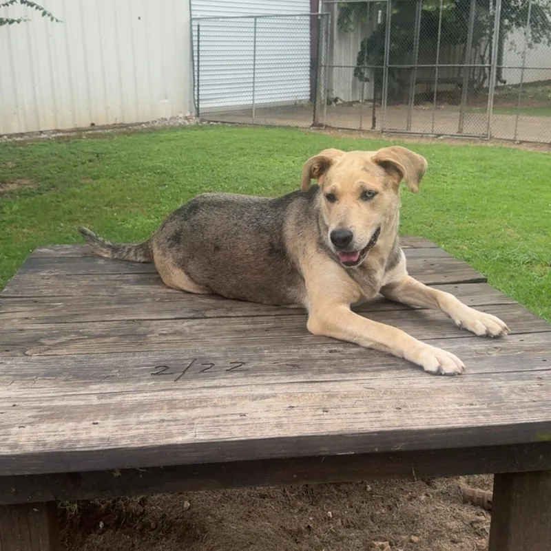 Gorgeous thumbnail 3