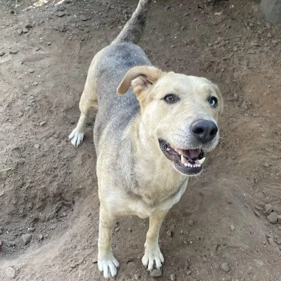 Gorgeous thumbnail 4