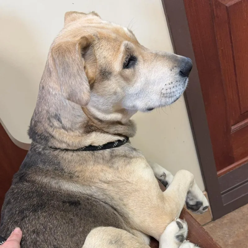 Gorgeous thumbnail 5