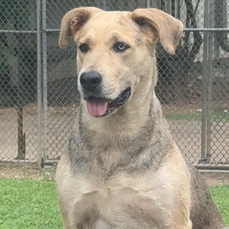 Gorgeous thumbnail 6