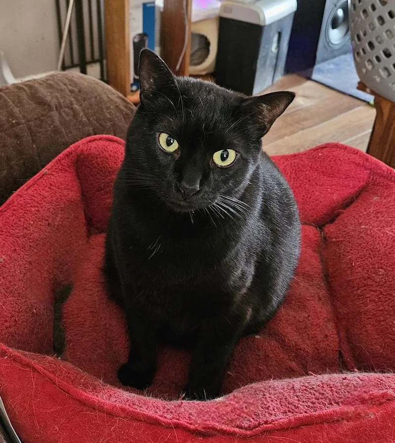 Handsome thumbnail 2