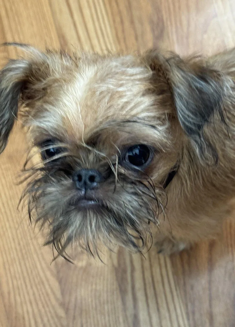 Gus thumbnail 2