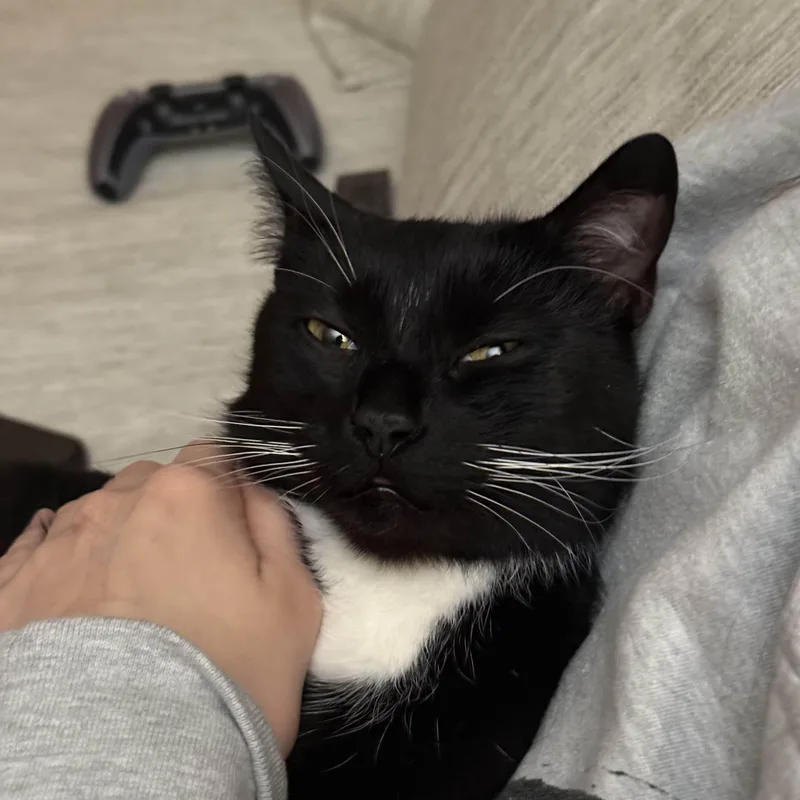 Peppercorn thumbnail 2