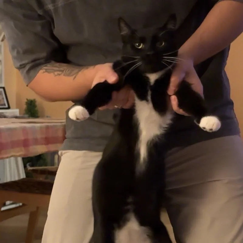 Peppercorn thumbnail 5