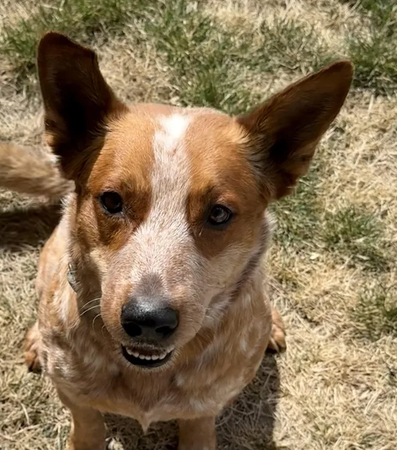Oakley