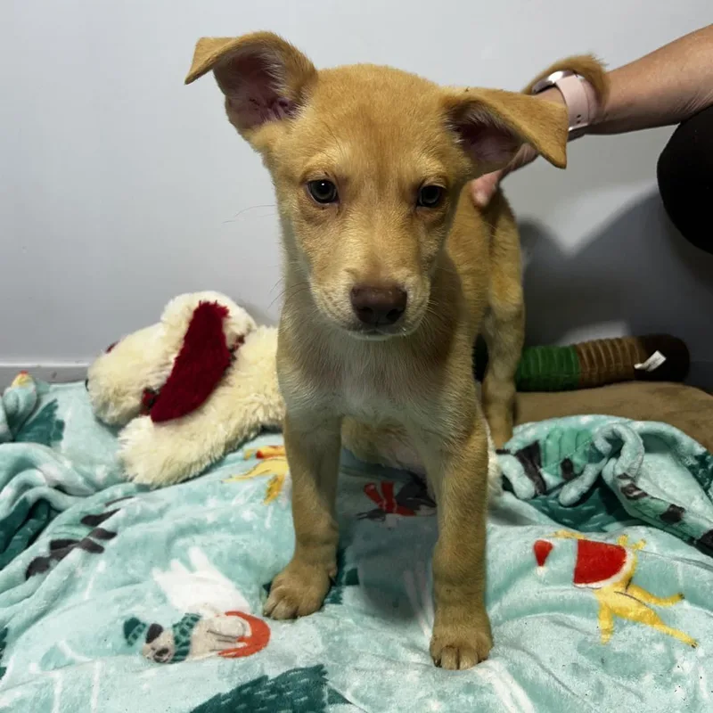 Jordyjoey thumbnail 2