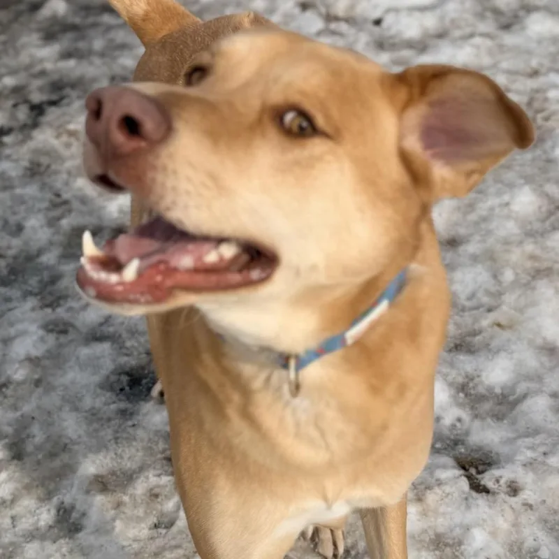 Jordyjoey thumbnail 3