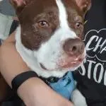 Charlie thumbnail 2