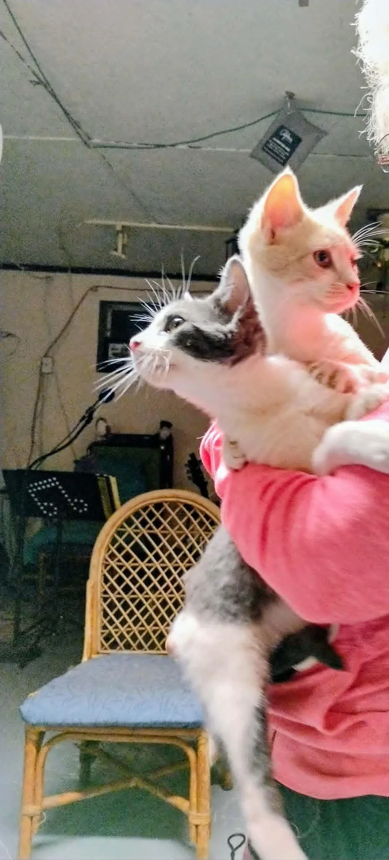 Domino And Dustin thumbnail 2