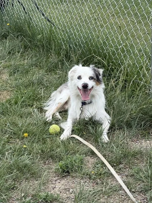 Gus