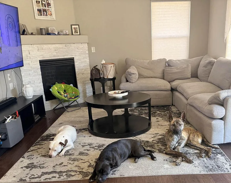 Ducky  The Lucky thumbnail 3