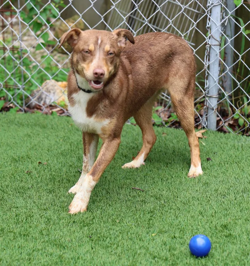 Squirtle thumbnail 2