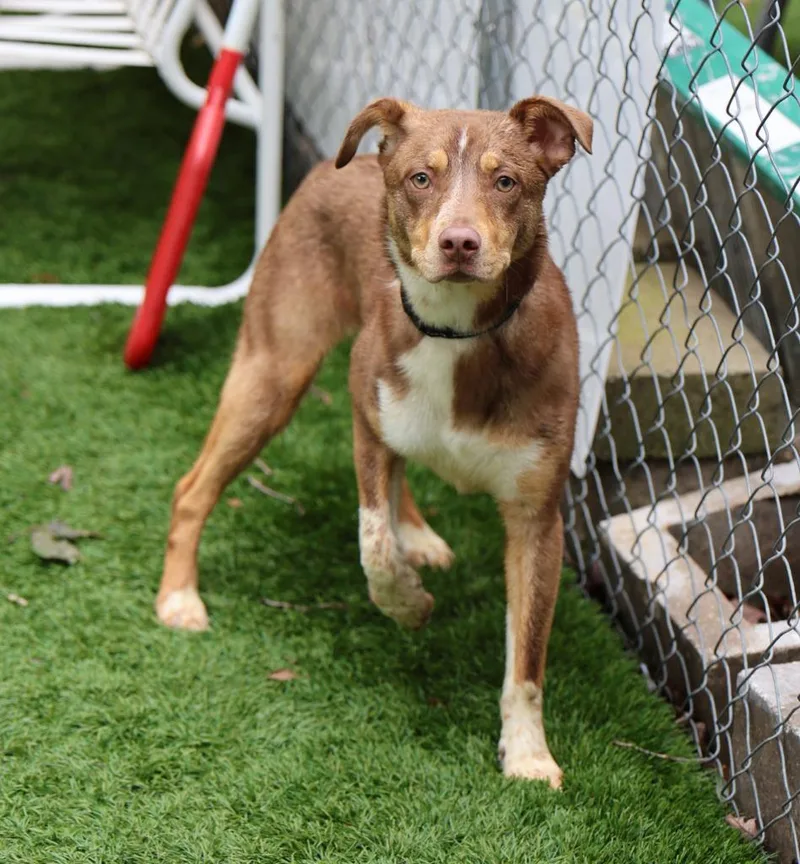 Squirtle thumbnail 4