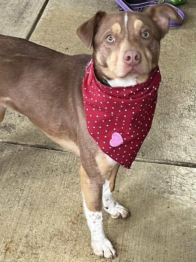 Squirtle thumbnail 5