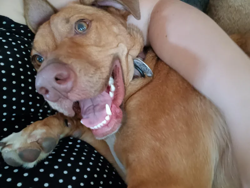 Sadie thumbnail 6