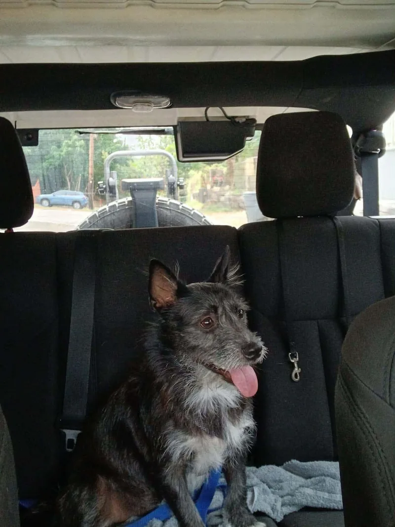Argos thumbnail 3