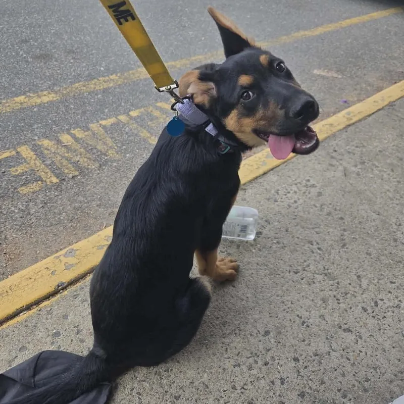 Talamaine thumbnail 3