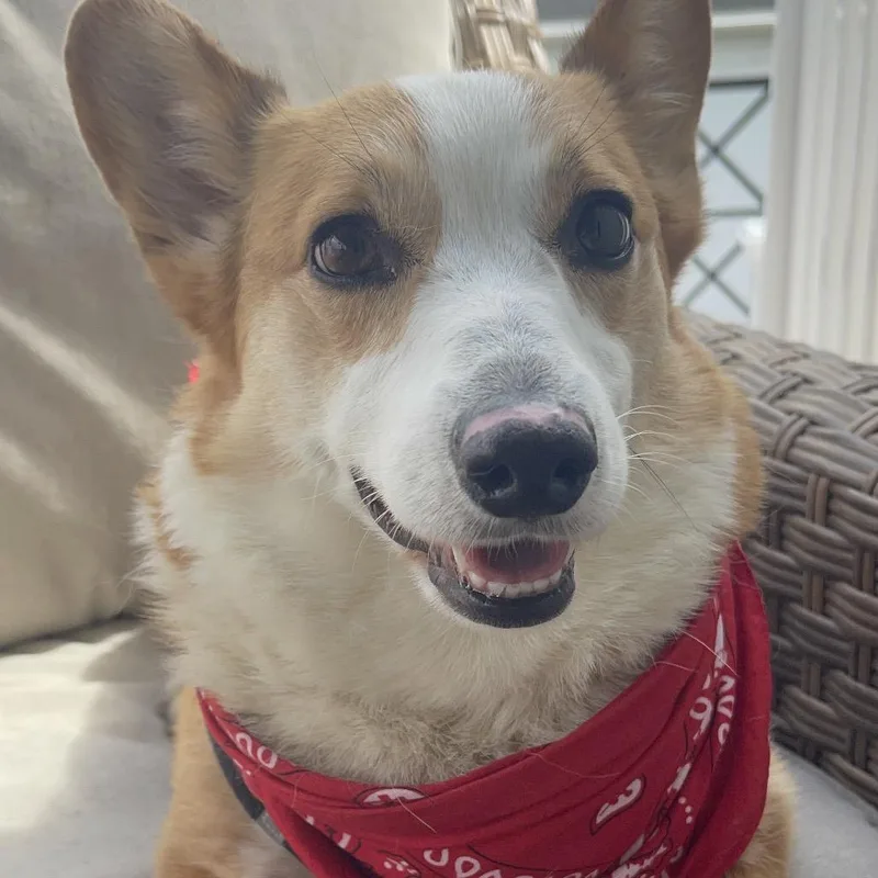 Milo