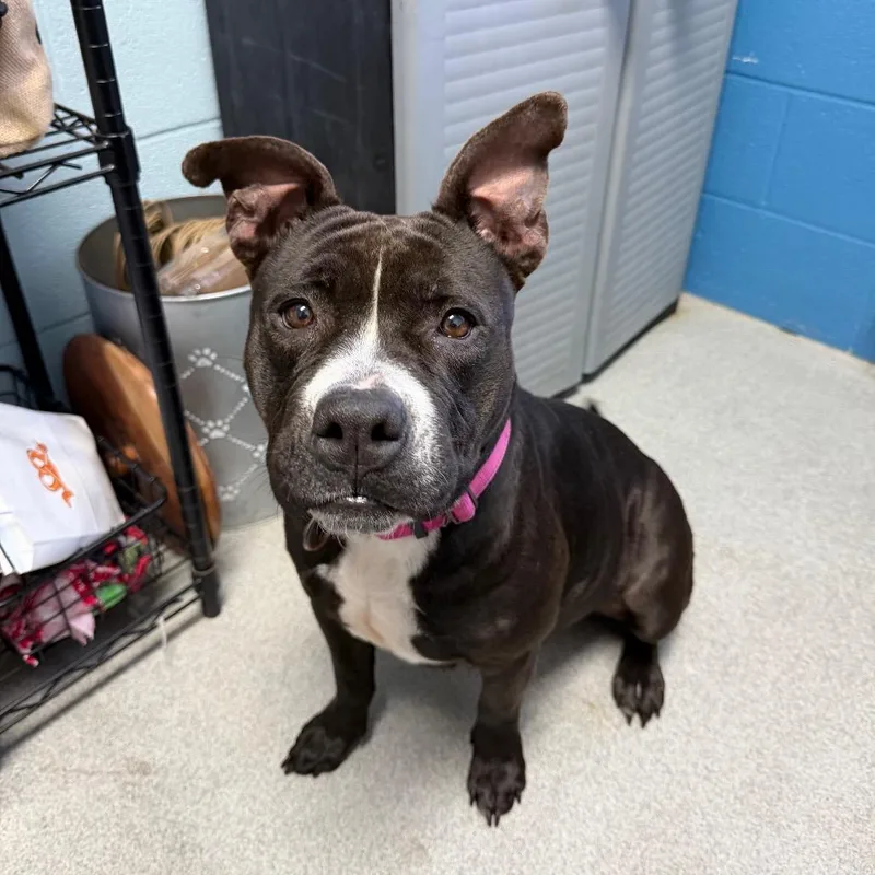 Tina Badina thumbnail 2