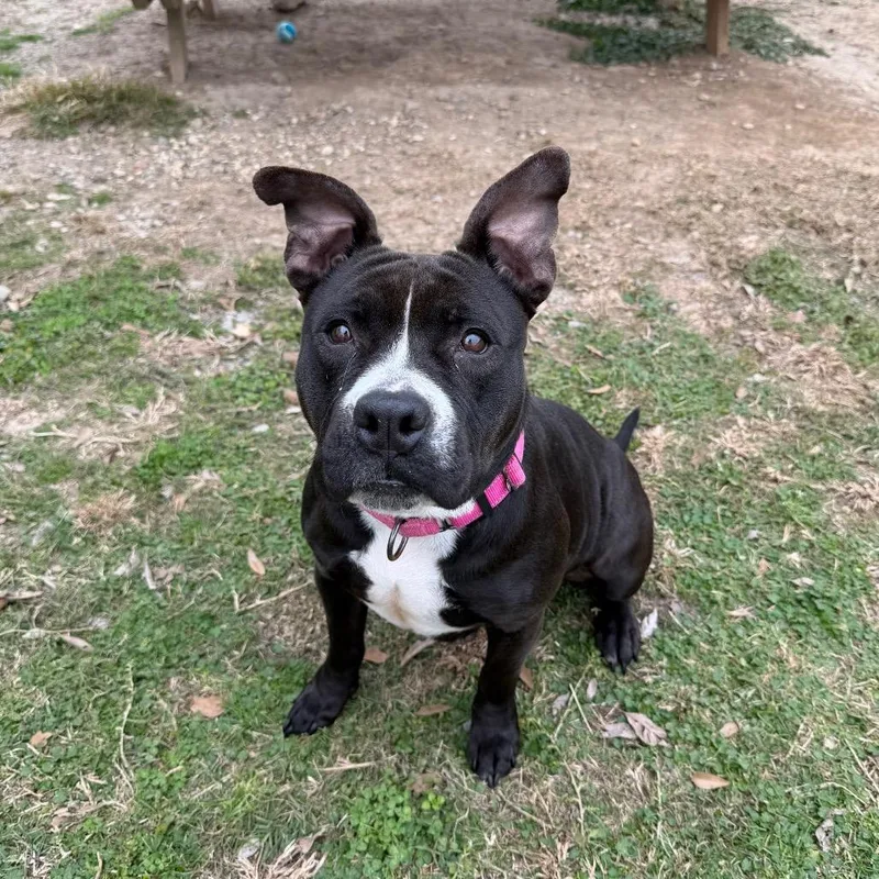 Tina Badina thumbnail 3