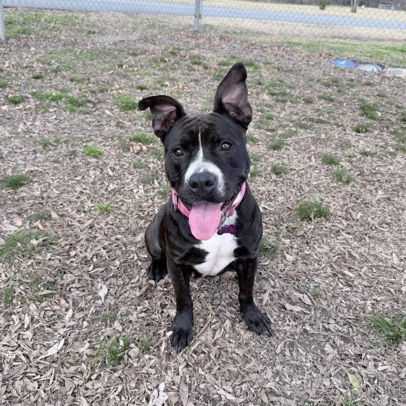 Tina Badina thumbnail 4