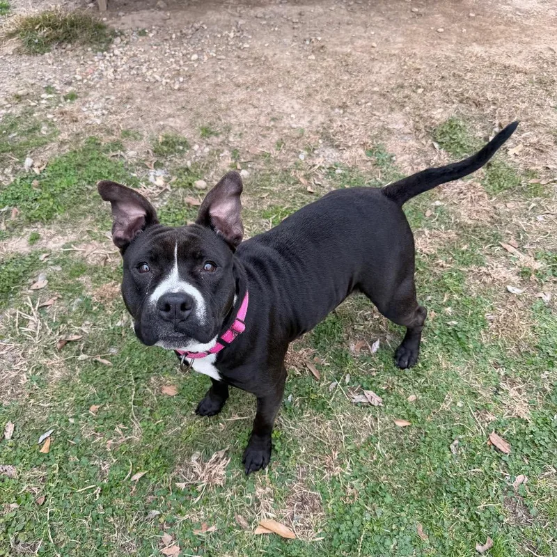 Tina Badina thumbnail 5