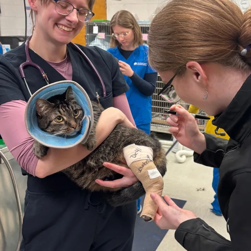 Attenborough thumbnail 2