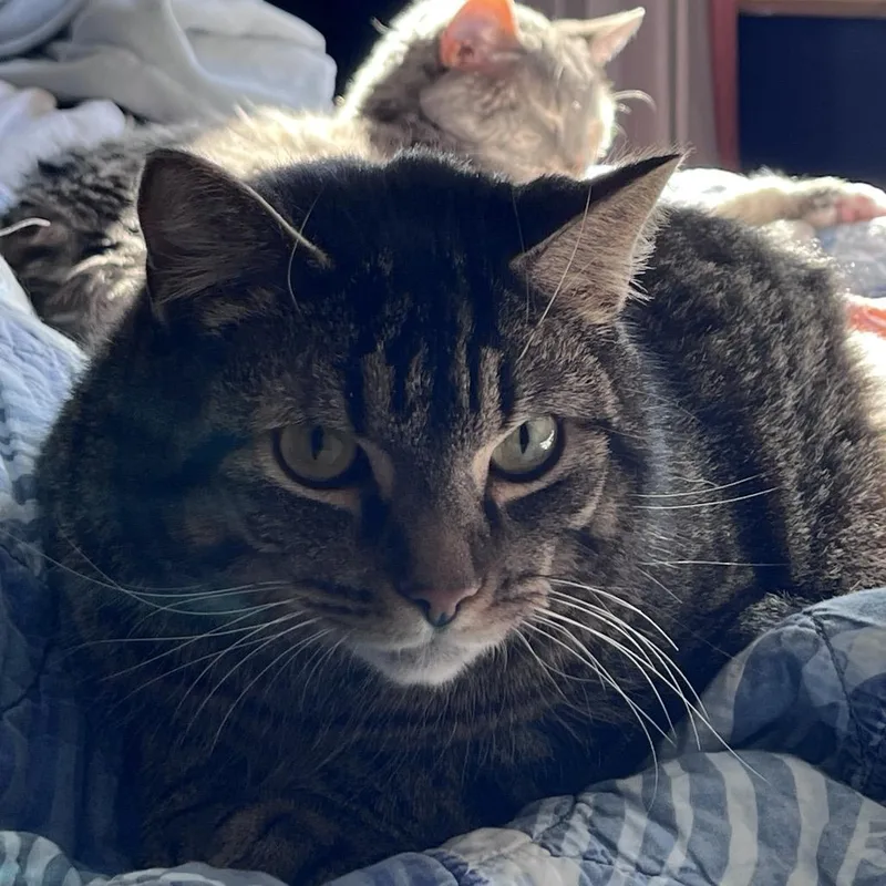 Attenborough thumbnail 3