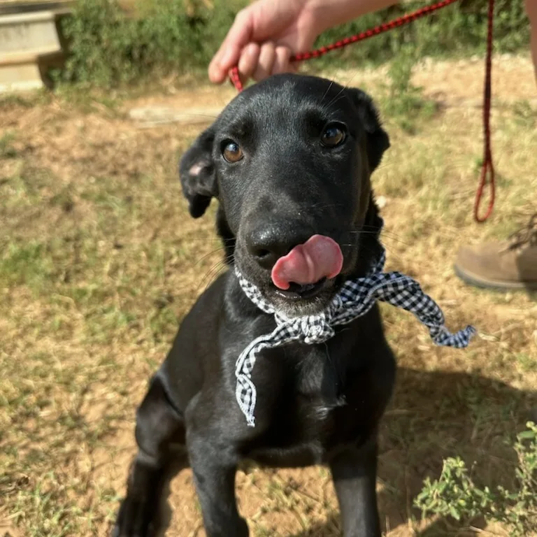 Mary Ann thumbnail 2