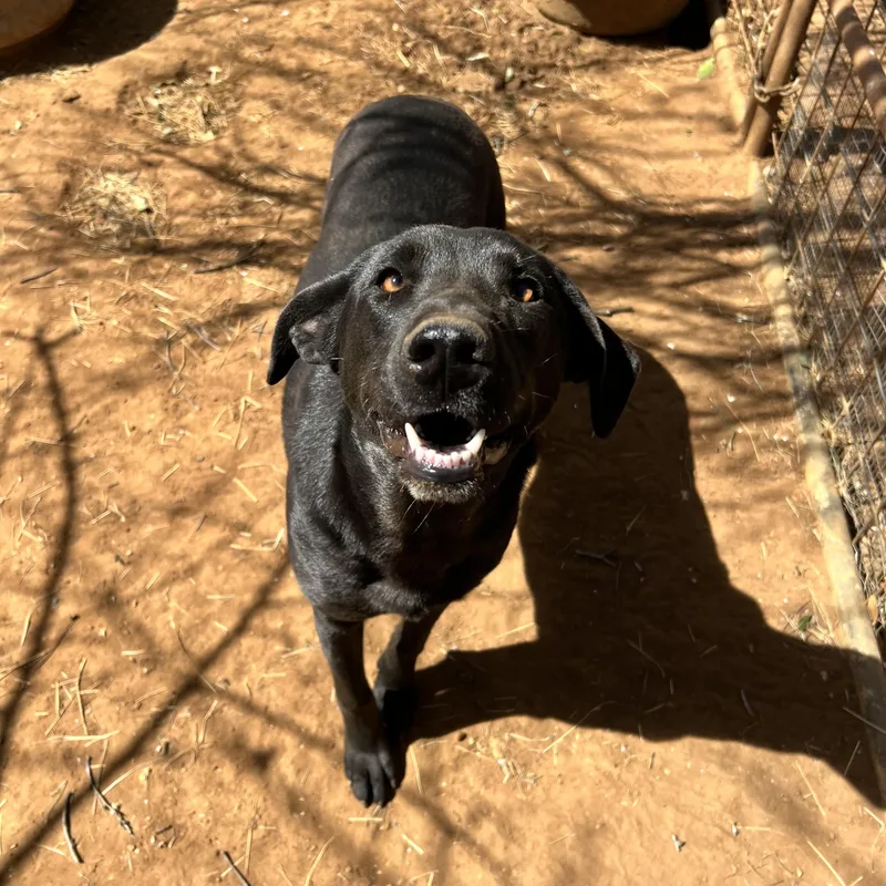 Mary Ann thumbnail 3