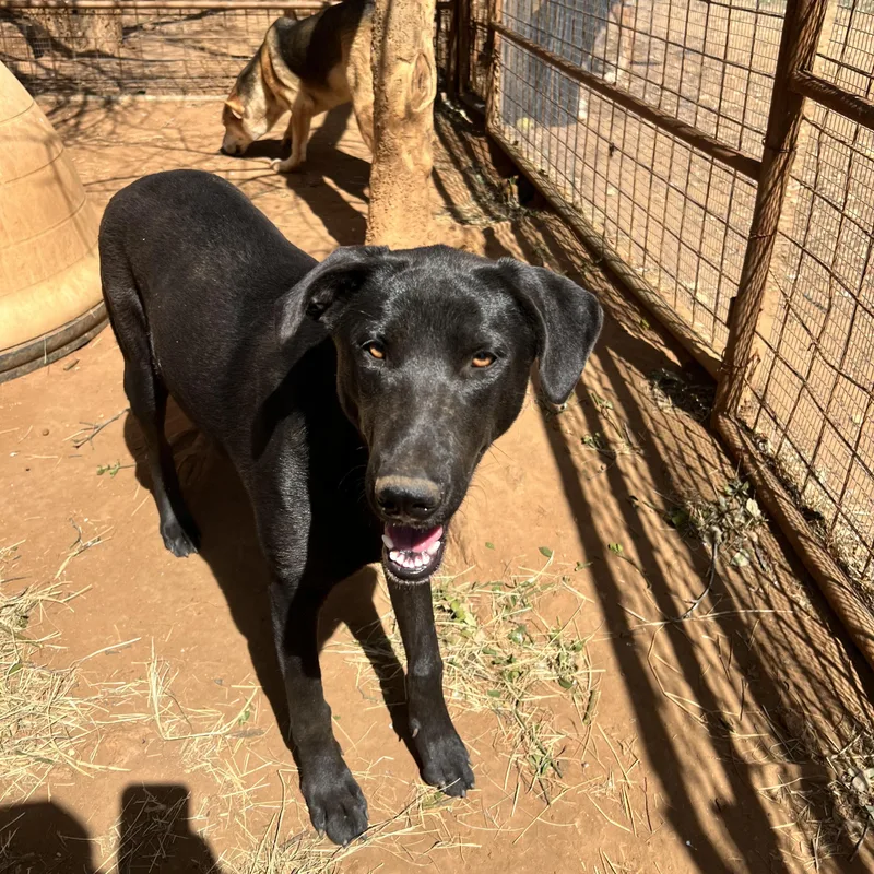 Mary Ann thumbnail 4