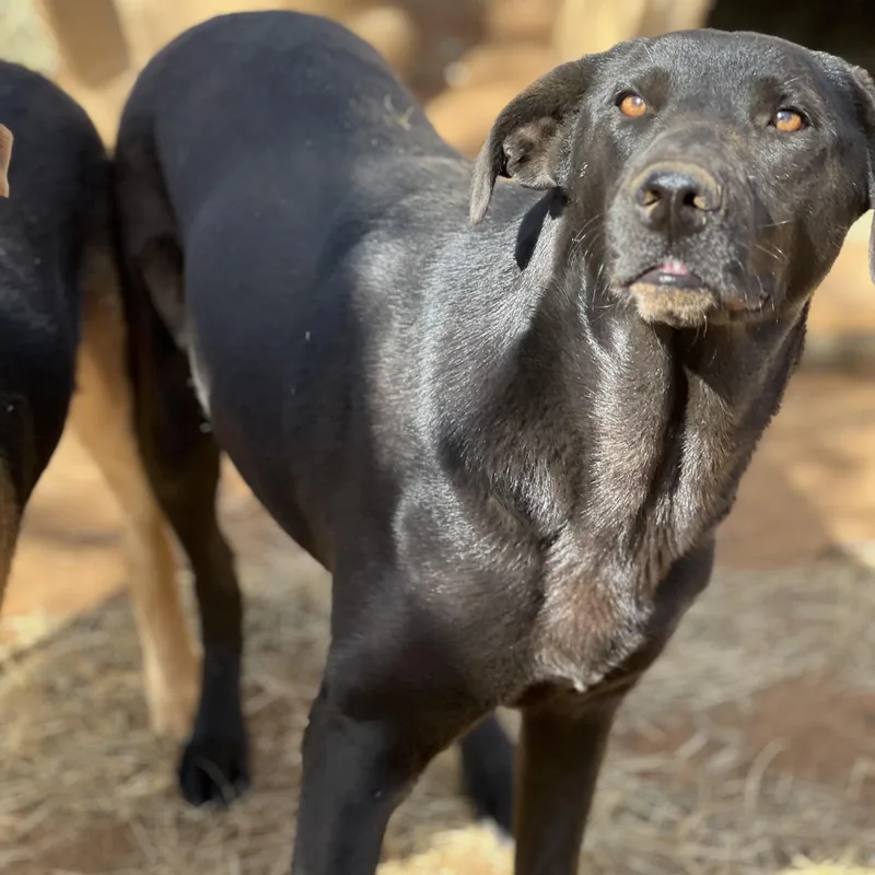 Mary Ann thumbnail 5