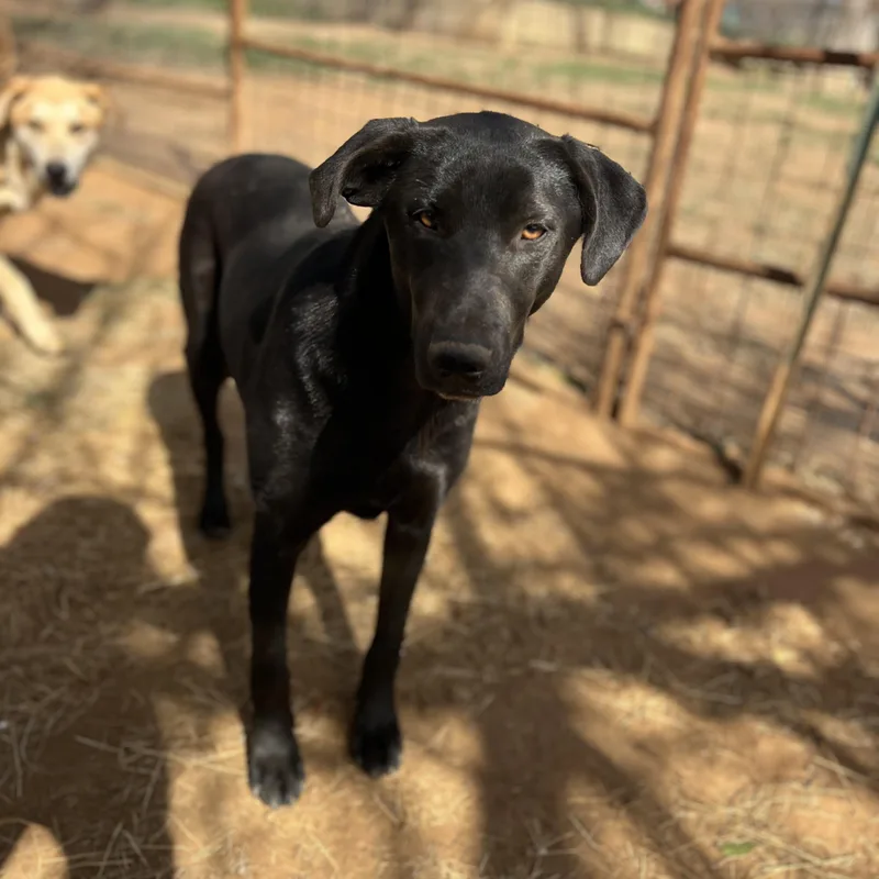 Mary Ann thumbnail 6